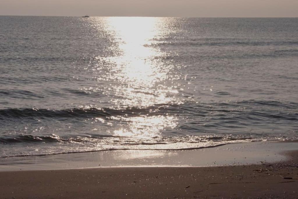 Beachfront House, Valencia, Wifi, Paddle Surf Board, Incredible Views 苏埃卡 外观 照片